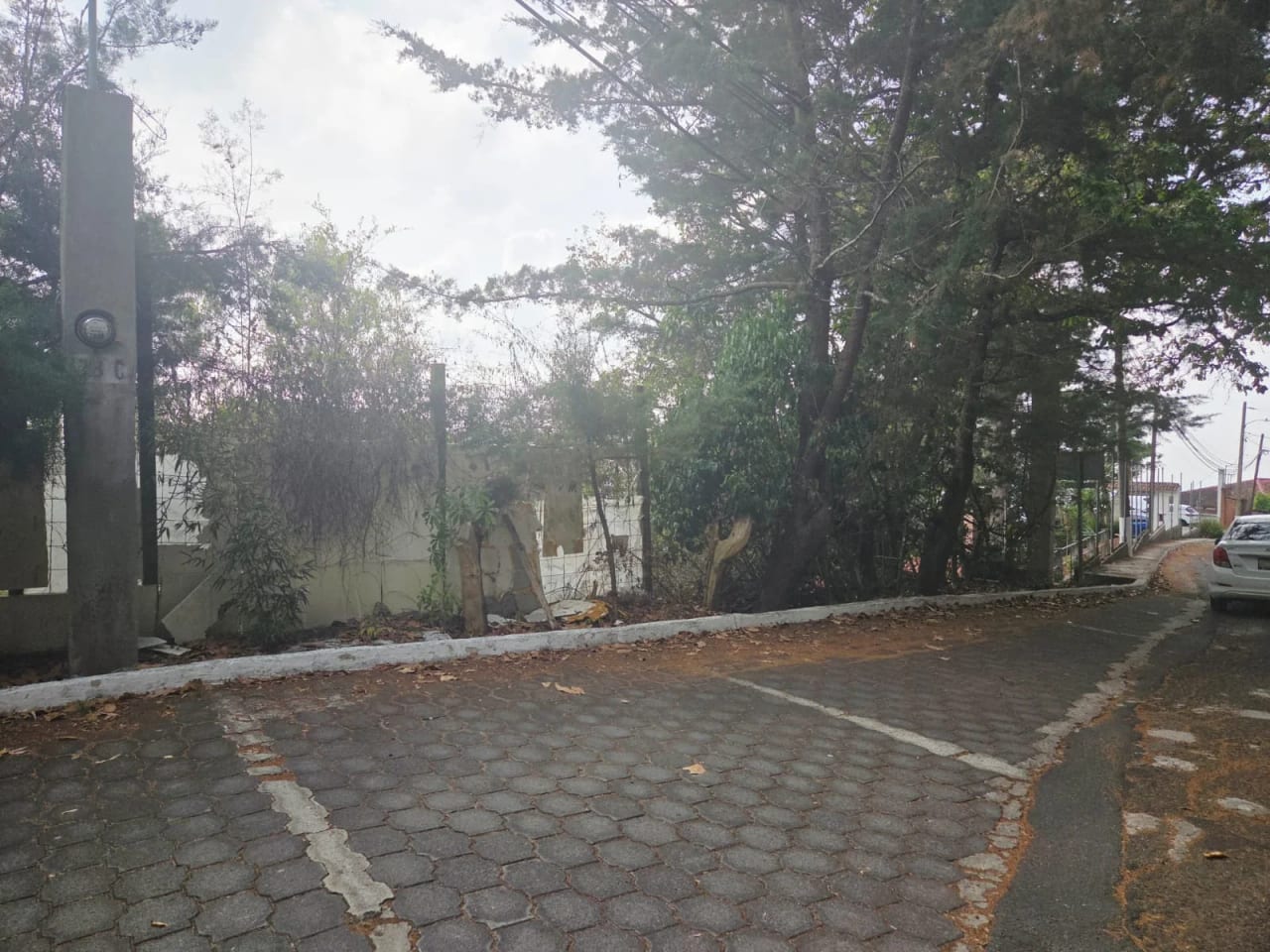 VENTA DE TERRENO EN EL ENCINAL — foto 1 de 1