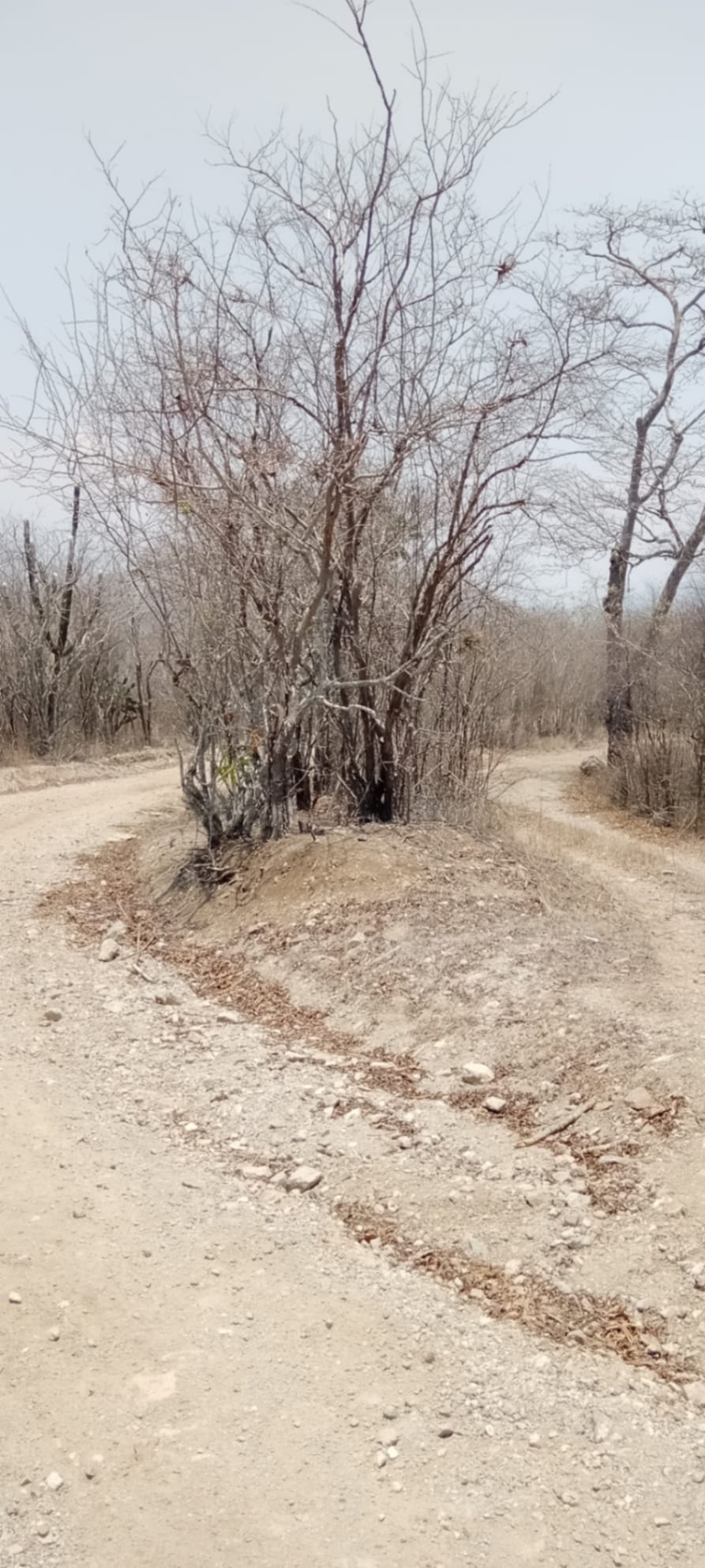 ¡OPORTUNIDAD DE INVERSIÓN! Terreno Industrial Ideal para Proyecto Solar en El Progreso — foto 2 de 14