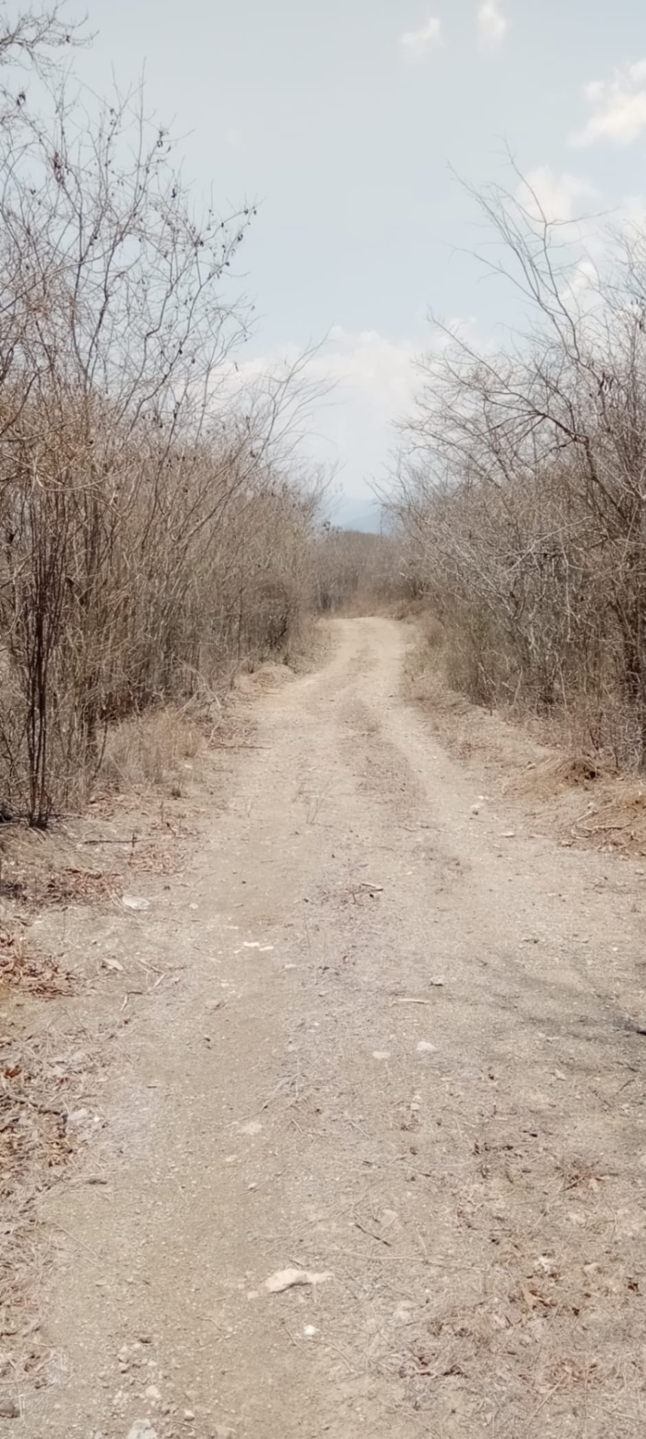¡OPORTUNIDAD DE INVERSIÓN! Terreno Industrial Ideal para Proyecto Solar en El Progreso — foto 5 de 14