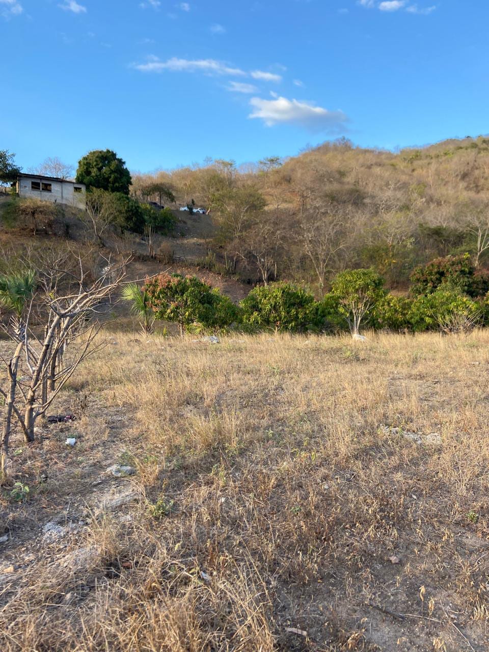 Oportunidad de Inversión: Terreno Comercial en Alquiler a Largo Plazo — foto 1 de 10