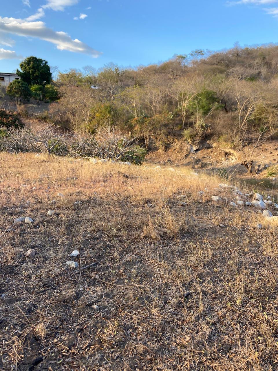 Oportunidad de Inversión: Terreno Comercial en Alquiler a Largo Plazo — foto 2 de 10