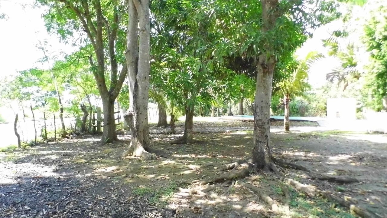 Terreno en Taxisco sobre Carretera — foto 4 de 7