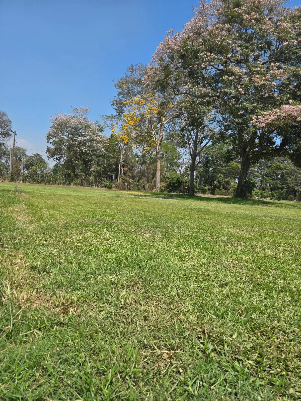 Para inversión terreno carretera vieja a Puerto de San José — foto 7 de 17