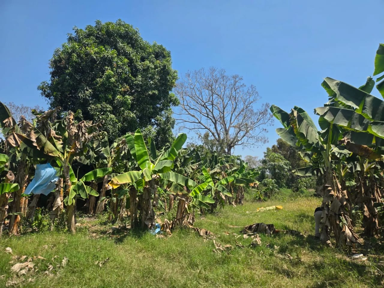 Para inversión terreno carretera vieja a Puerto de San José — foto 11 de 17