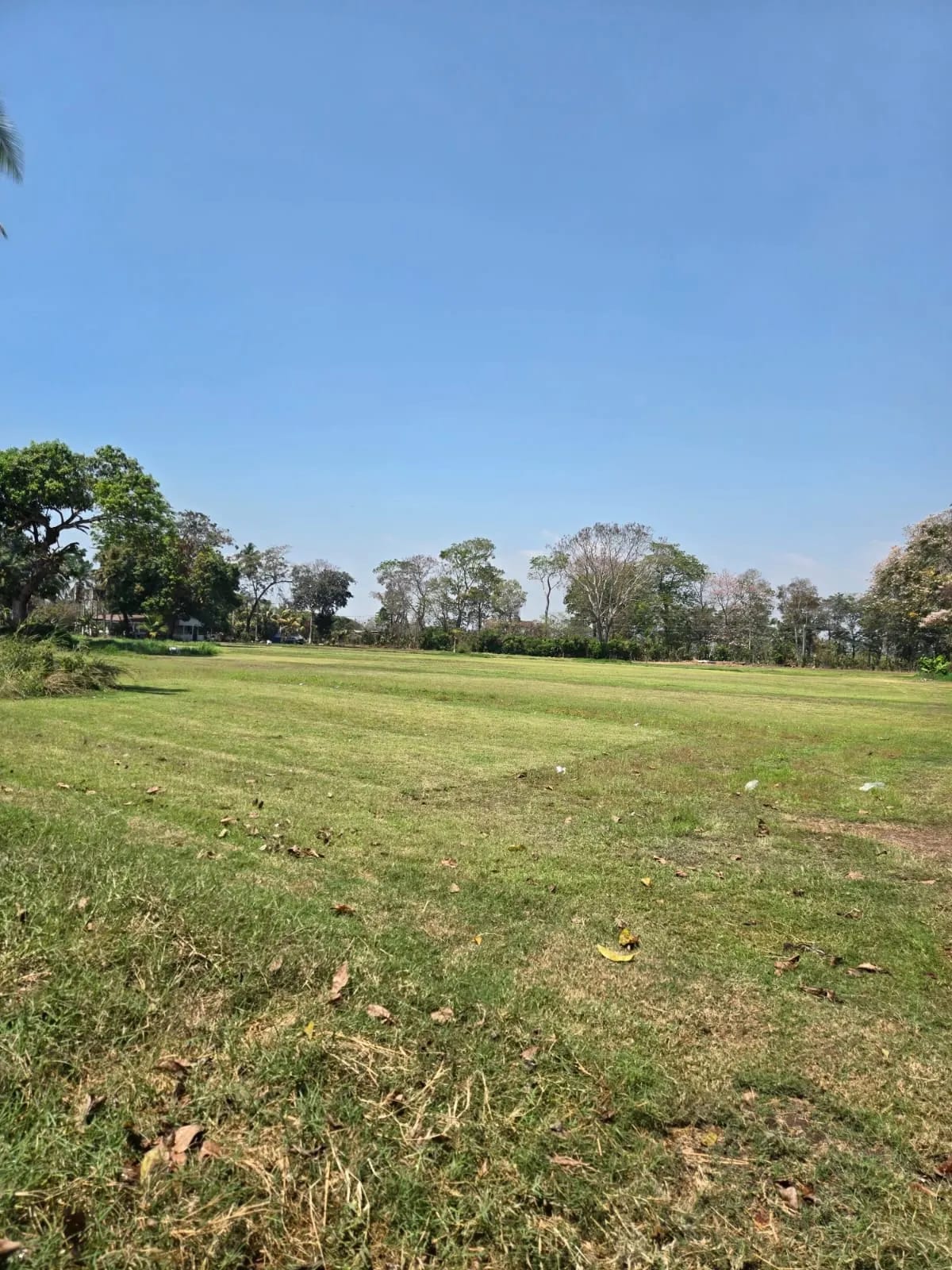 Para inversión terreno carretera vieja a Puerto de San José — foto 13 de 17