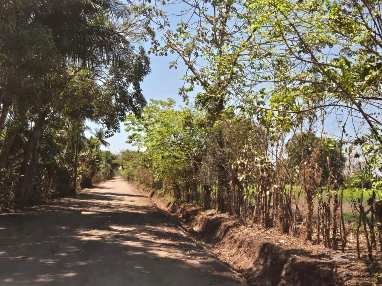 Para inversión terreno carretera vieja a Puerto de San José — foto 16 de 17