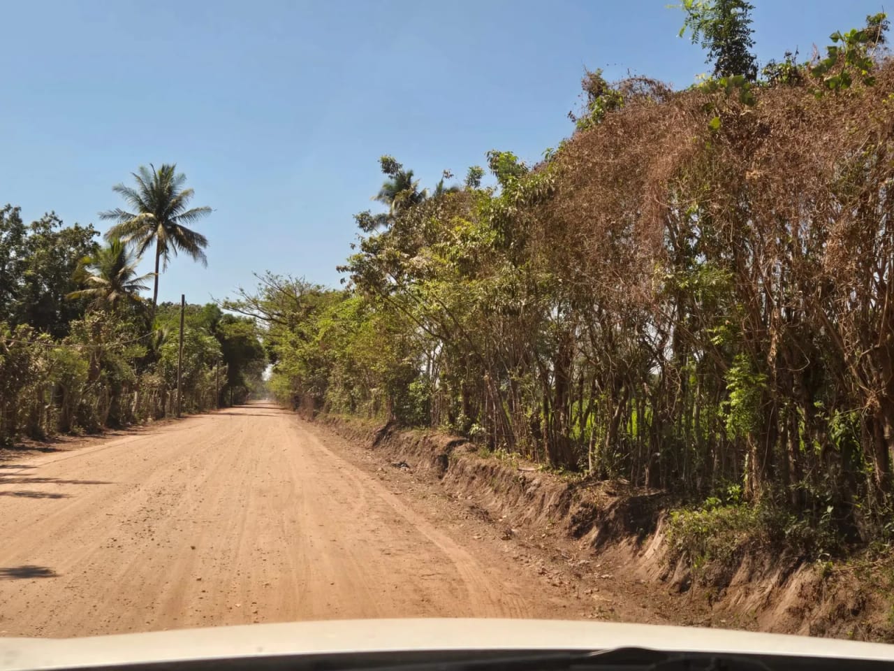 Para inversión terreno carretera vieja a Puerto de San José — foto 17 de 17