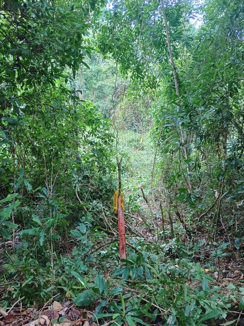 Terreno En Venta Amatique Bay Puerto Barrios — foto 8 de 12