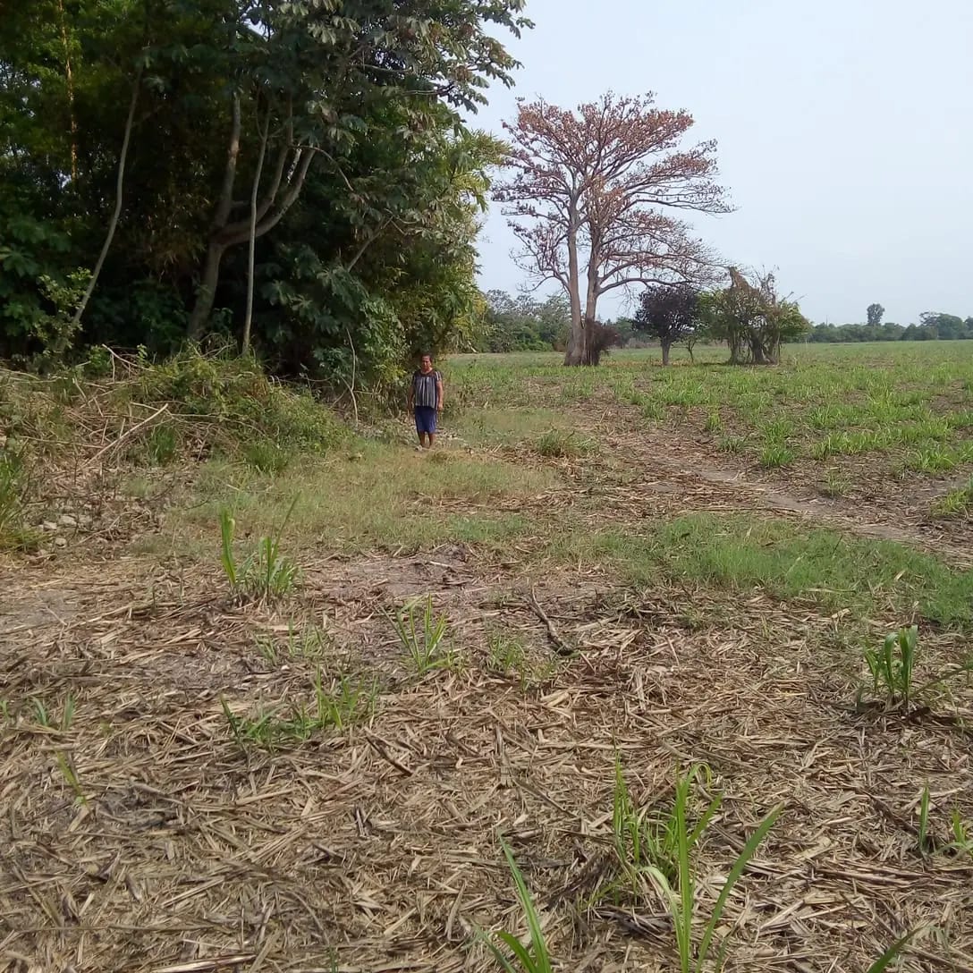 Para invertir terreno en venta — foto 2 de 5