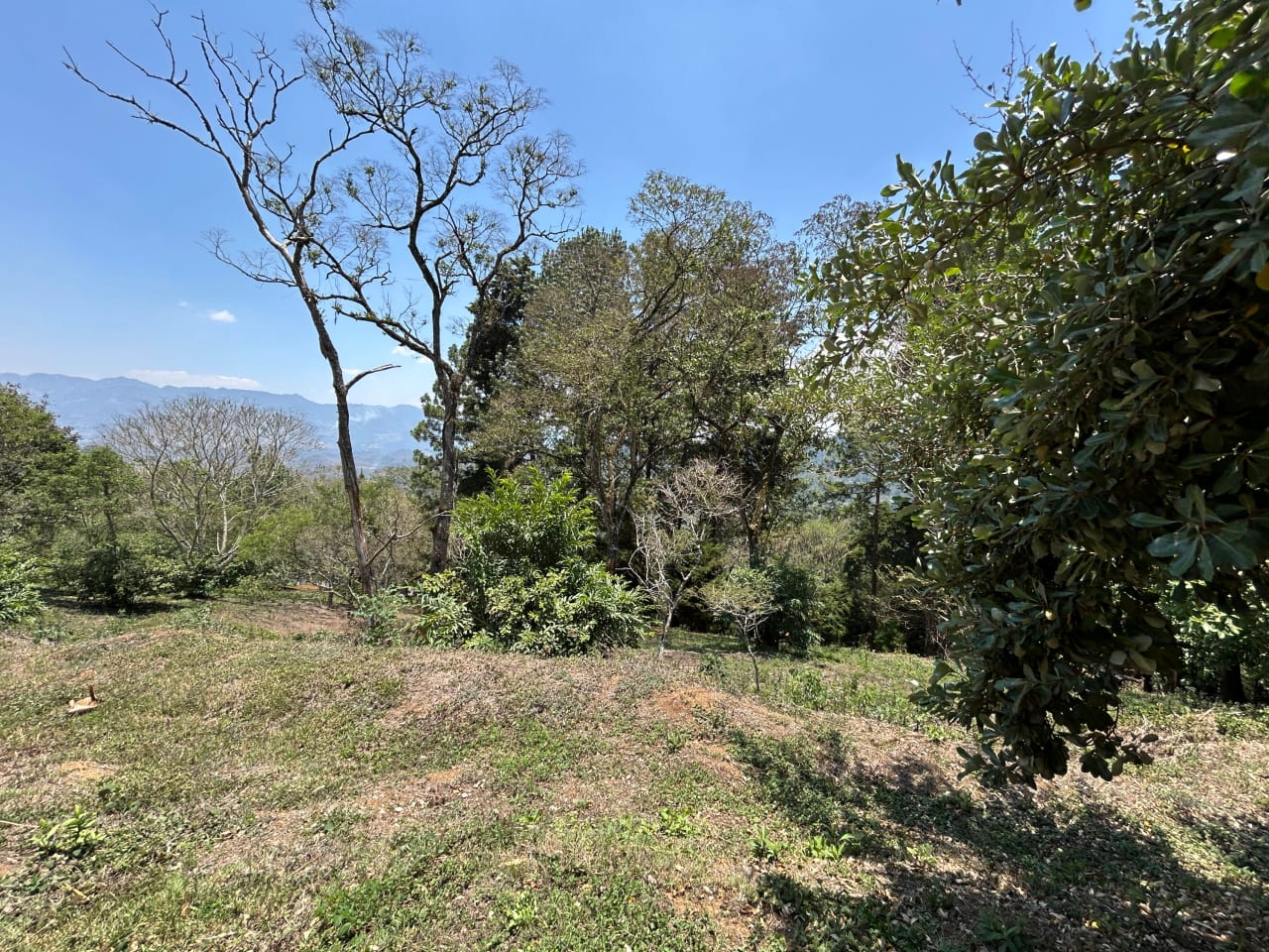 Terreno en Venta Club Ecuestre El Pulté — foto 5 de 15