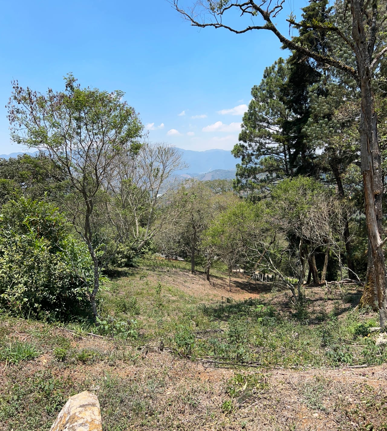 Terreno en Venta Club Ecuestre El Pulté — foto 7 de 15