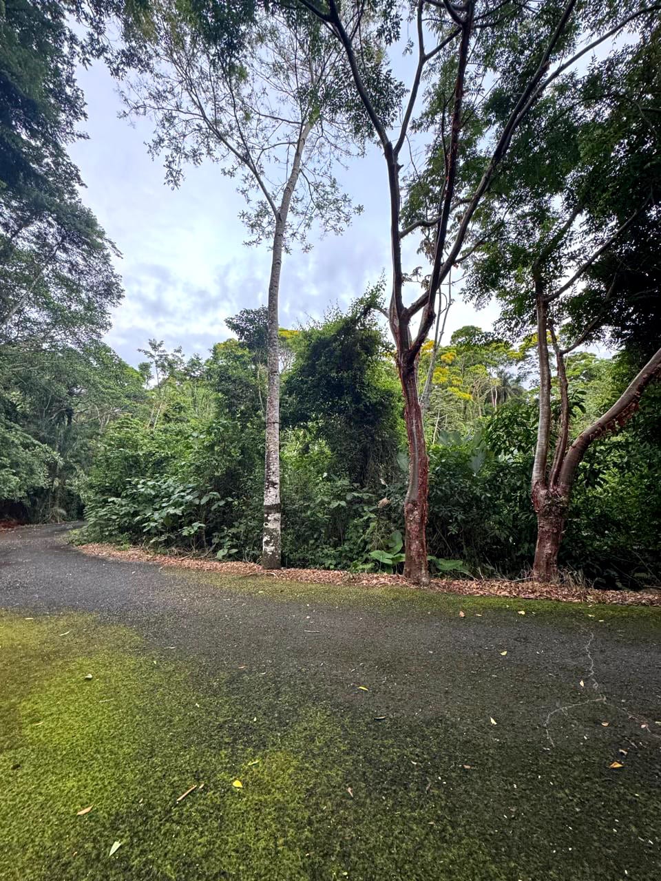 Terreno en Venta Amatique Bay Puerto Barrios Izabal — foto 4 de 13