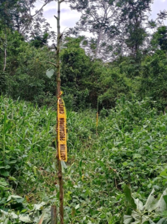 Terreno en Venta Amatique Bay Puerto Barrios Izabal — foto 6 de 13