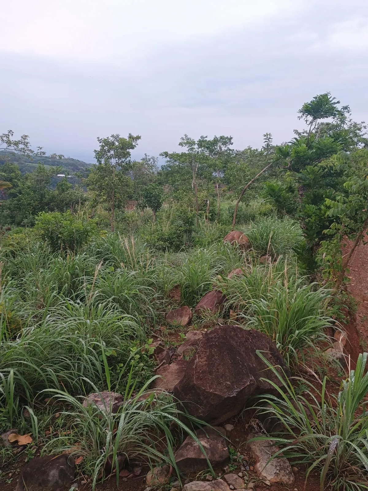 Terreno Agrícola en Venta en Pueblo Nuevo Viñas, Santa Rosa, Guatemala — foto 2 de 7