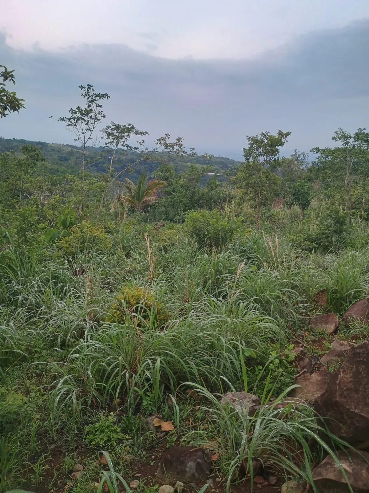 Terreno Agrícola en Venta en Pueblo Nuevo Viñas, Santa Rosa, Guatemala — foto 1 de 7