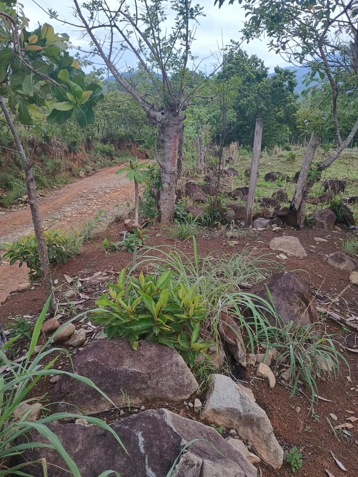 Terreno Agrícola en Venta en Pueblo Nuevo Viñas, Santa Rosa, Guatemala — foto 4 de 7
