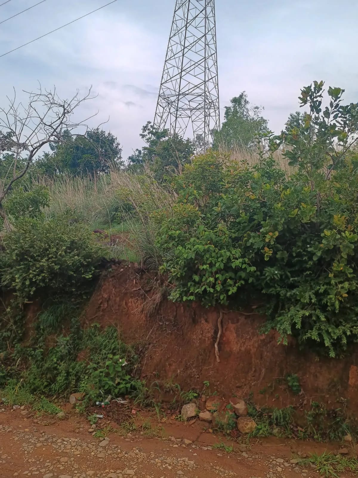 Terreno Agrícola en Venta en Pueblo Nuevo Viñas, Santa Rosa, Guatemala — foto 5 de 7