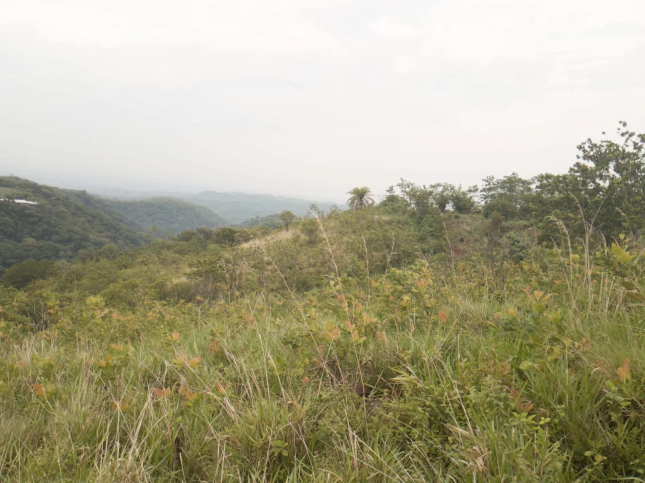 Terreno Agrícola en Venta en Pueblo Nuevo Viñas, Santa Rosa, Guatemala — foto 7 de 7