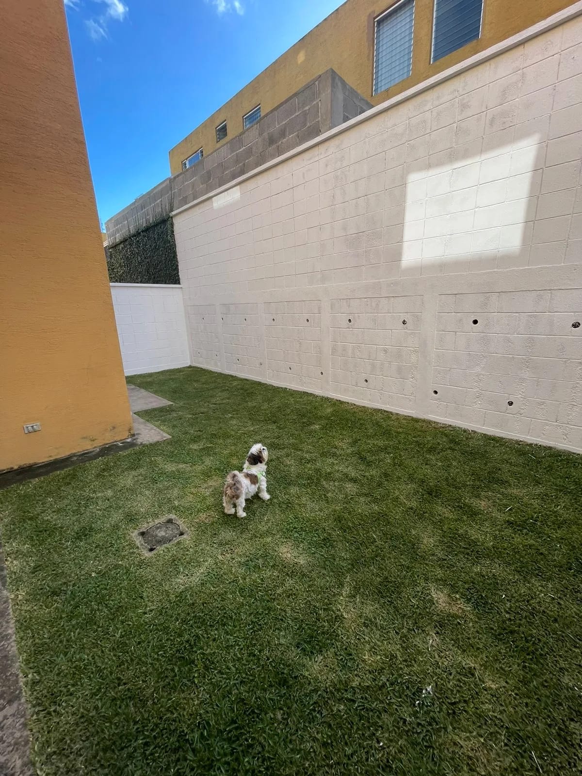 Casa en Venta en Bosques de San Marino, Ciudad San Cristobal, zona 8 de Mixco — foto 10 de 14