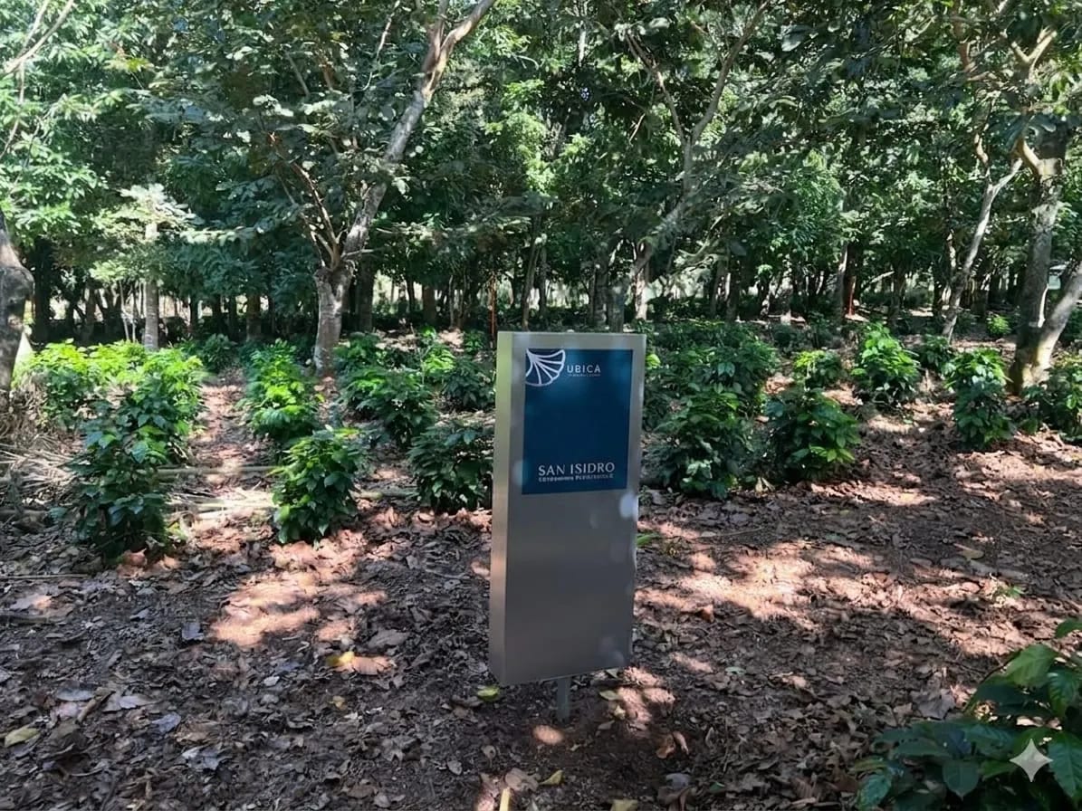Terreno en el club de golf San Isisdro — foto 2 de 2