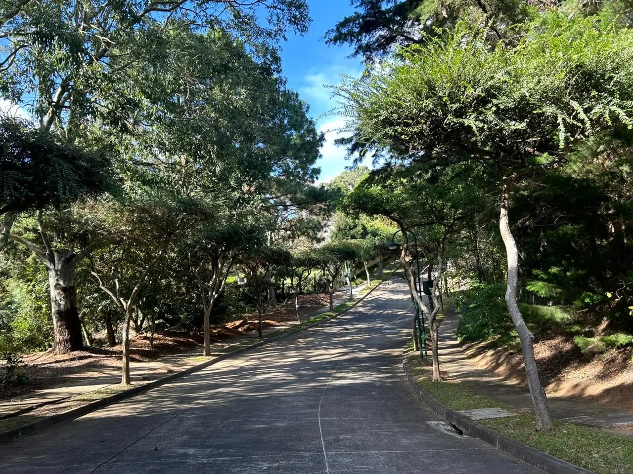 Amplio Terreno en Venta en Las Tinajas — foto 5 de 8