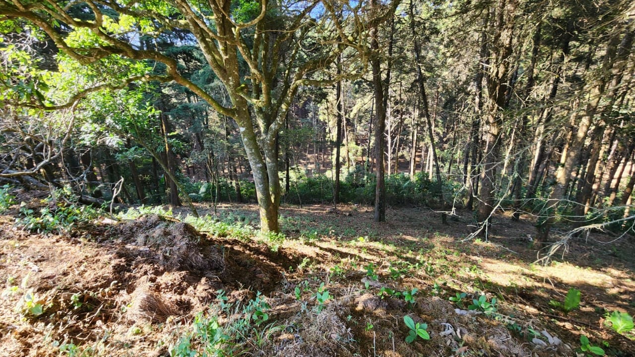 Terreno en Venta en Condominio MONTE CRISTO, San José Pinula — foto 4 de 6