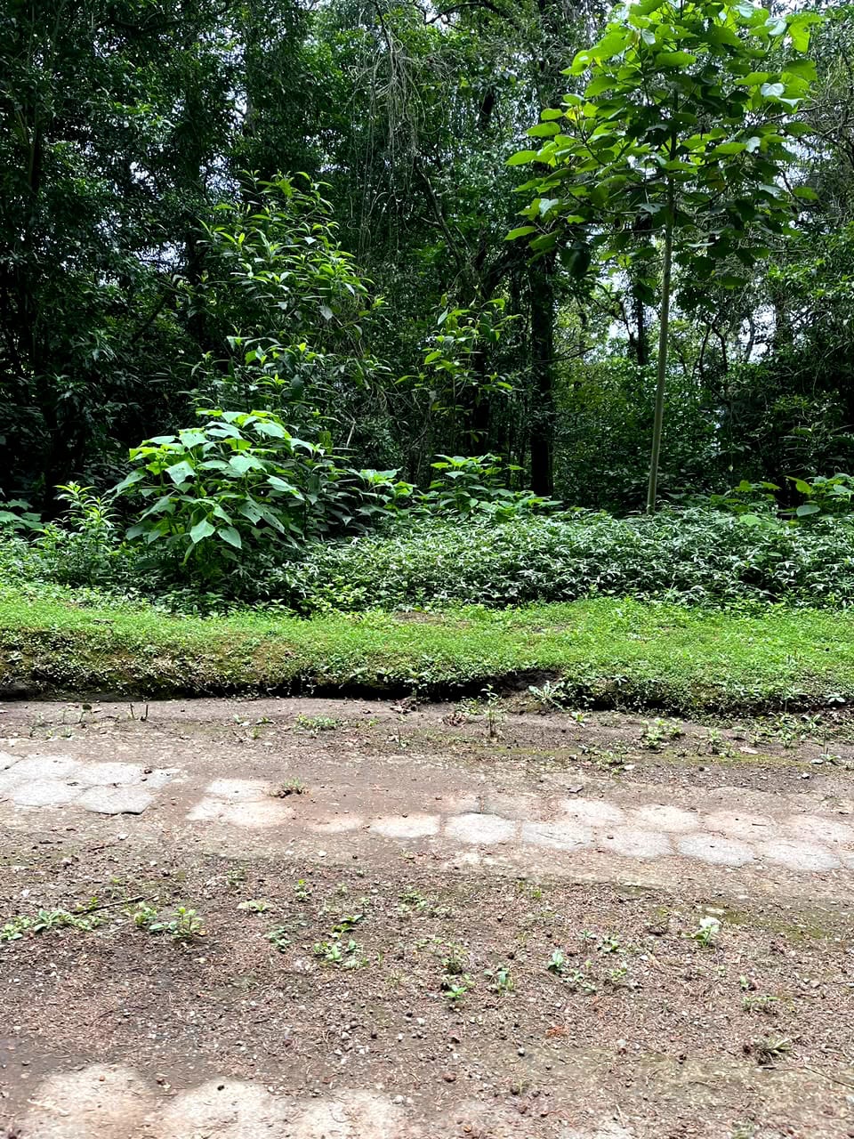 Terreno en Venta Granjas Jardín El Alto Santiago Sacatepequez — foto 3 de 13