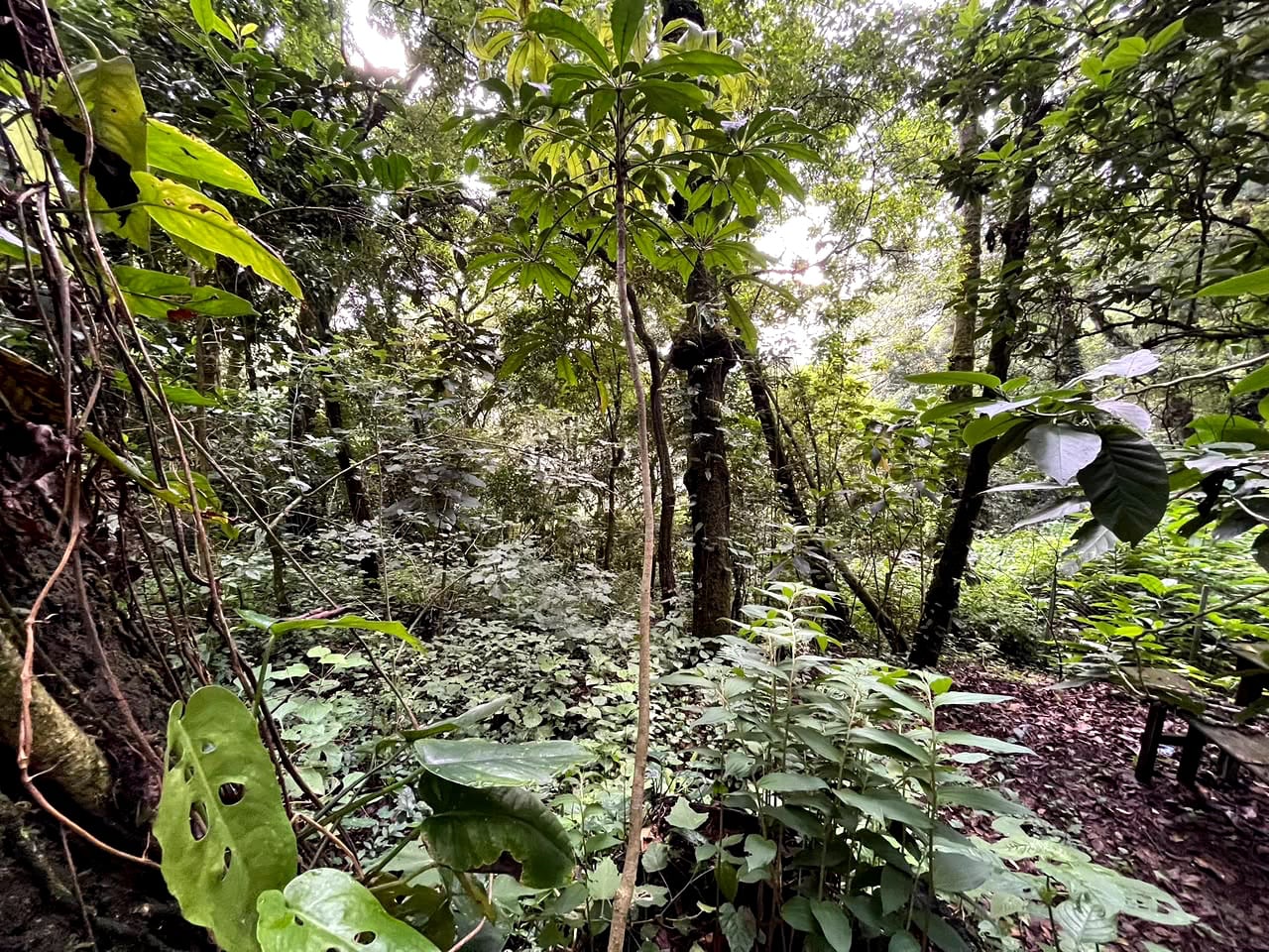 Terreno en Venta Granjas Jardín El Alto Santiago Sacatepequez — foto 7 de 13