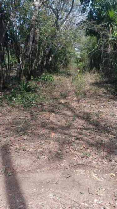 🔥 PRECIO DE REMATE 🔥 ¡Tu refugio natural listo para construir! Terreno en Bosque Nevado 🌲🏡 — foto 5 de 5