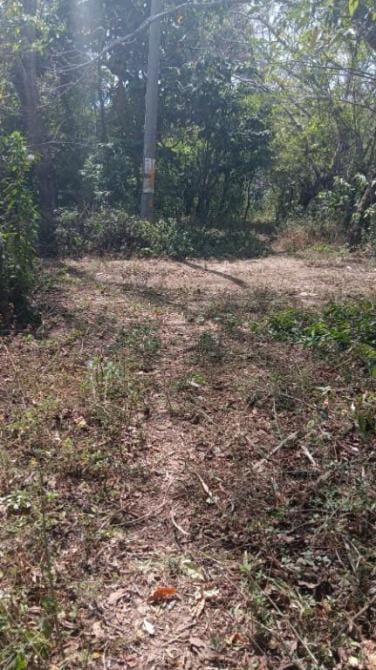 🔥 PRECIO DE REMATE 🔥 ¡Tu refugio natural listo para construir! Terreno en Bosque Nevado 🌲🏡 — foto 3 de 5