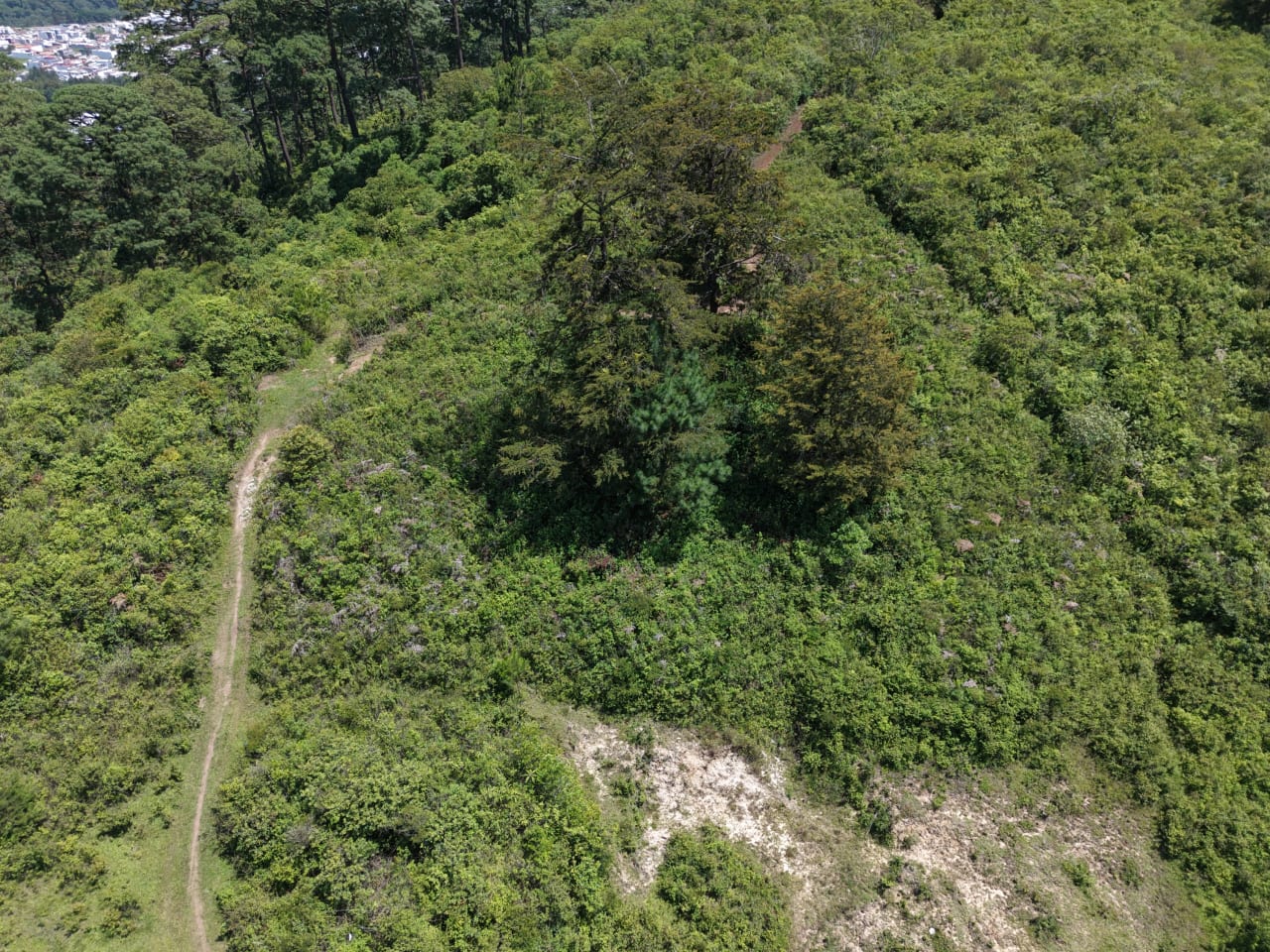Vendo terreno en zona 16 — foto 4 de 9