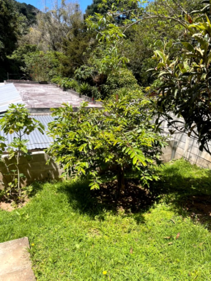 Terreno en venta Santiago Sacatepequez — foto 2 de 15