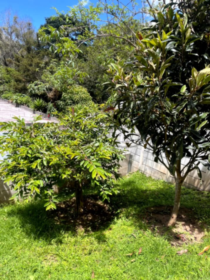 Terreno en venta Santiago Sacatepequez — foto 3 de 15