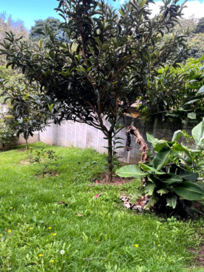 Terreno en venta Santiago Sacatepequez — foto 5 de 15