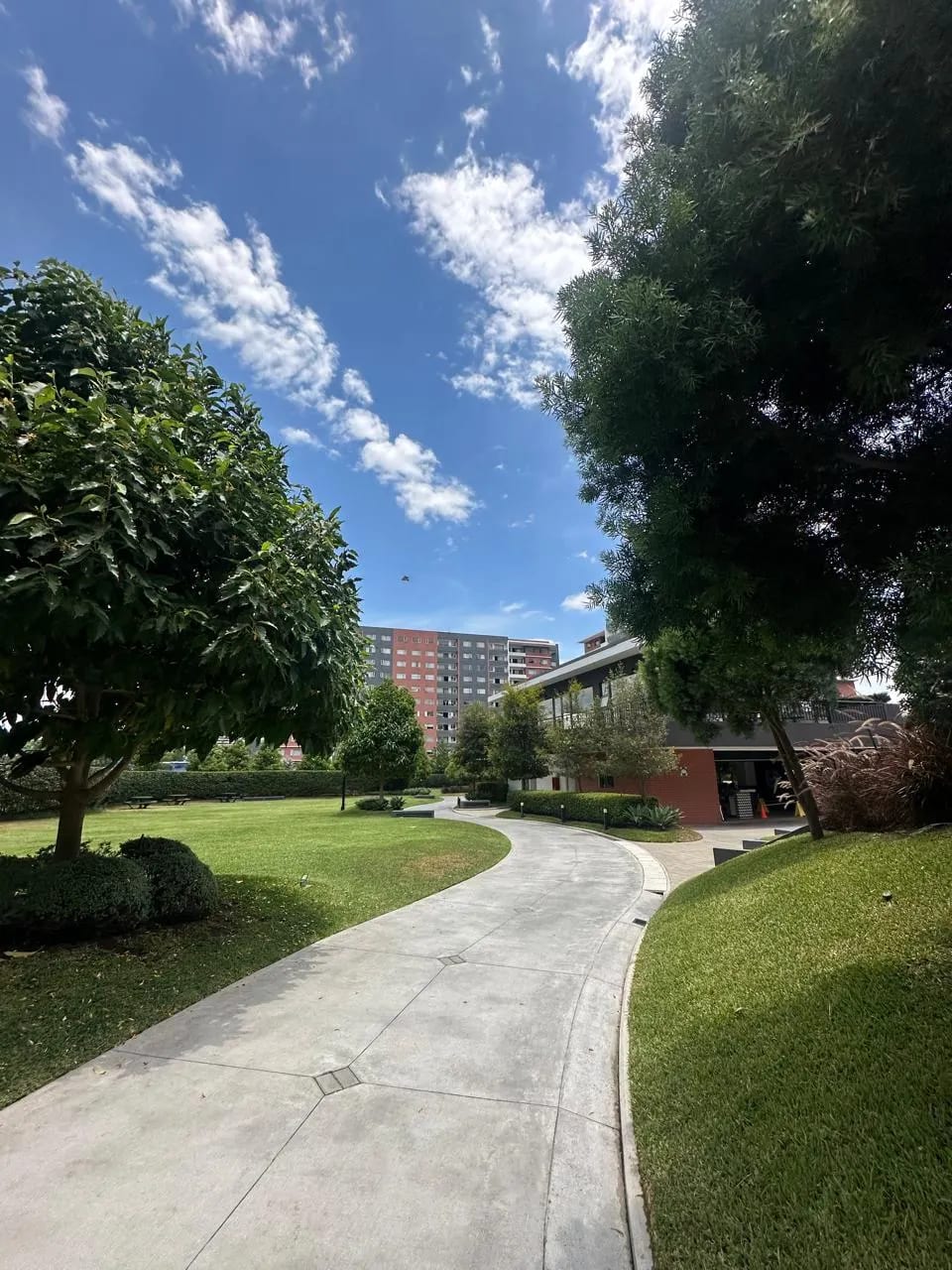 Apartamento en Renta – 3 Dormitorios en Segheria, Zona 14 — foto 15 de 17
