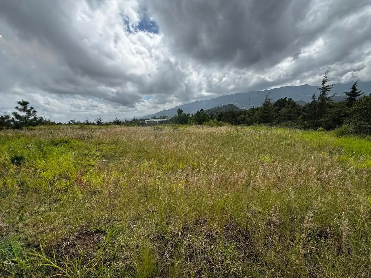 Terreno en venta en el Pulté Golf — foto 3 de 3