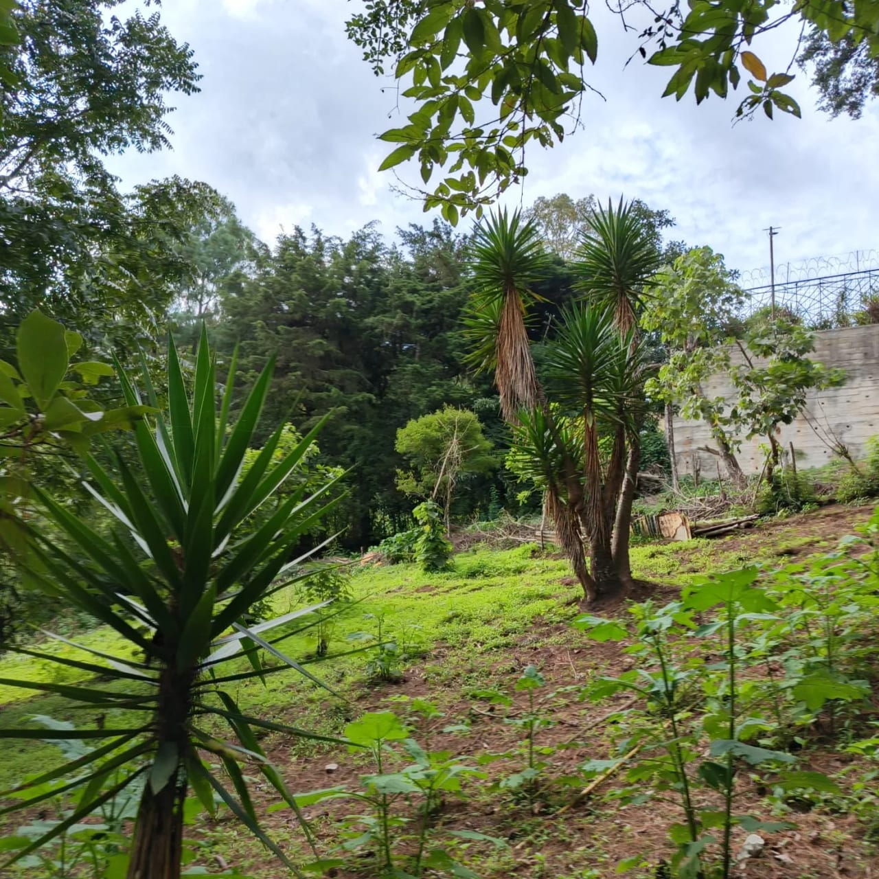 Terreno amplio con casa en CAES — foto 11 de 17