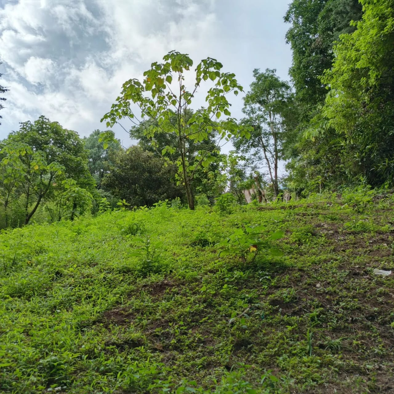 Terreno amplio con casa en CAES — foto 17 de 17