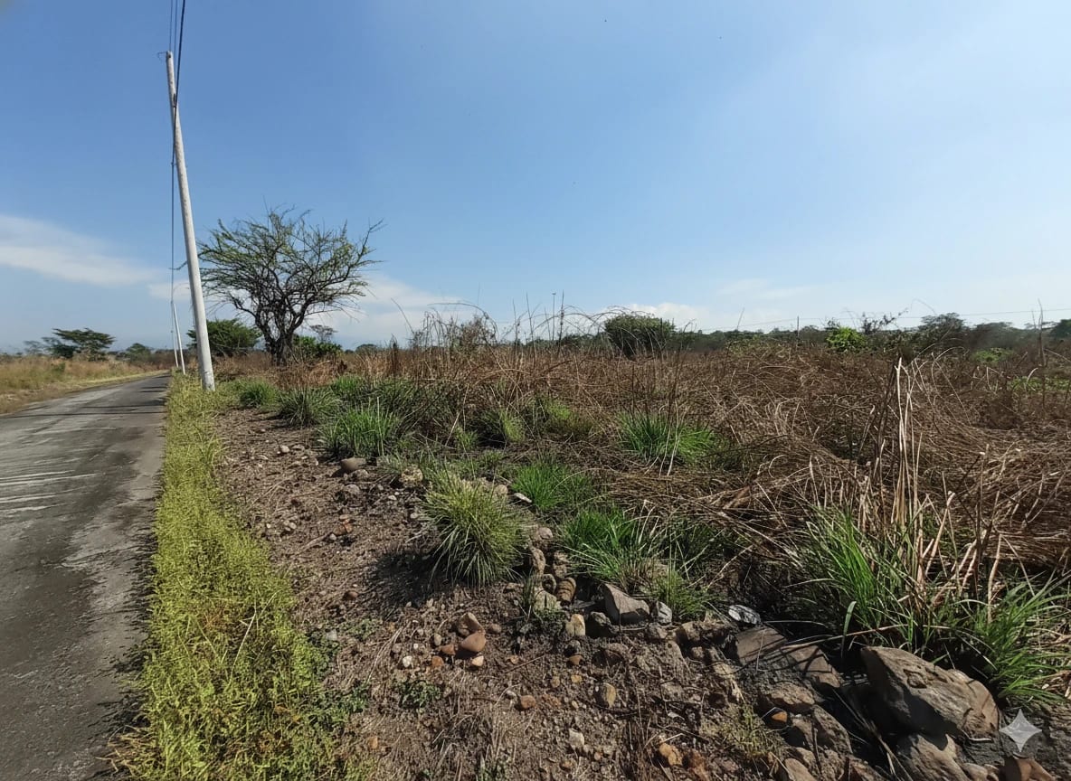 Terrenos a la Venta en Quintas La Ponderosa — foto 2 de 9