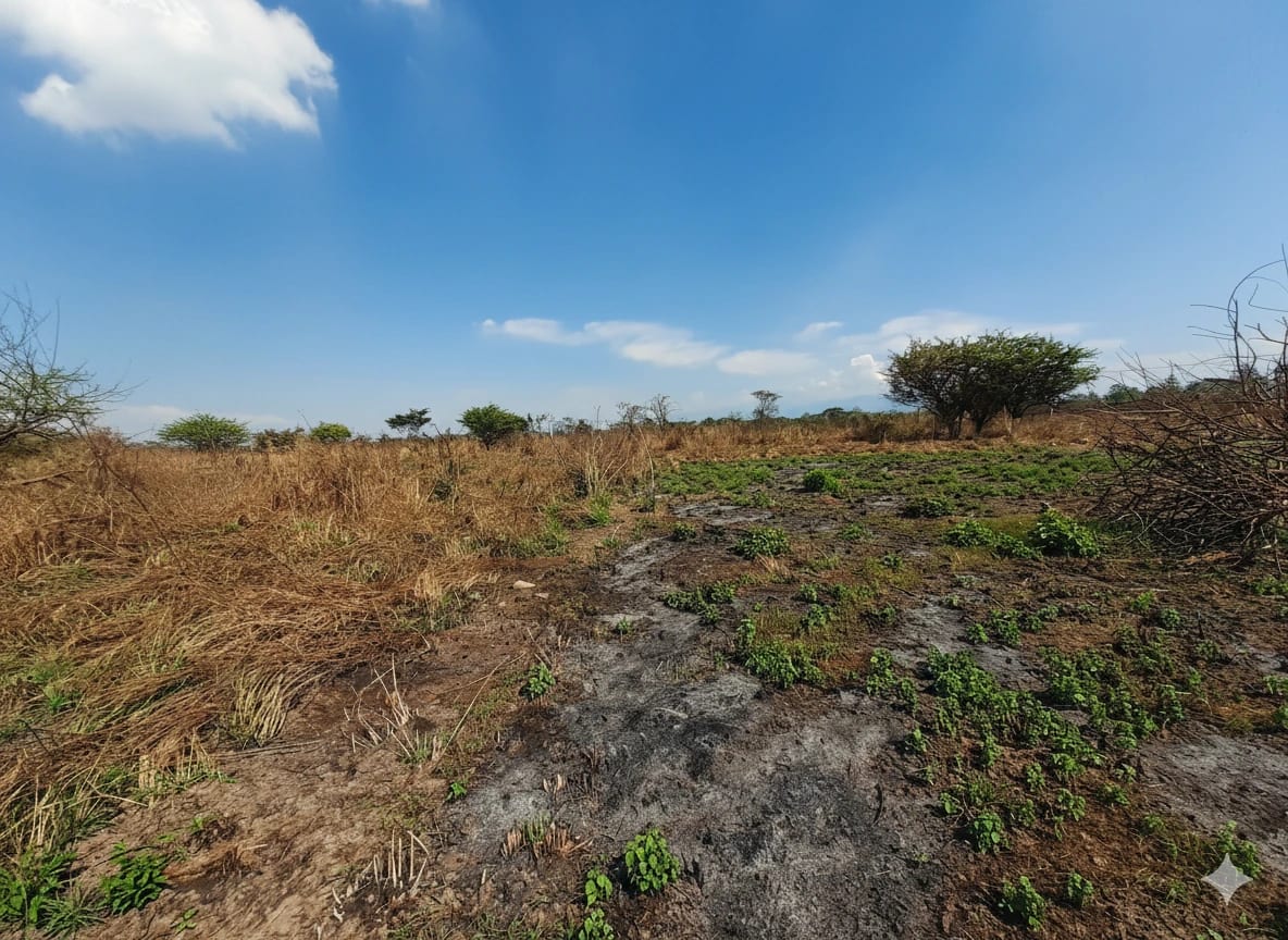 Terrenos a la Venta en Quintas La Ponderosa — foto 4 de 9