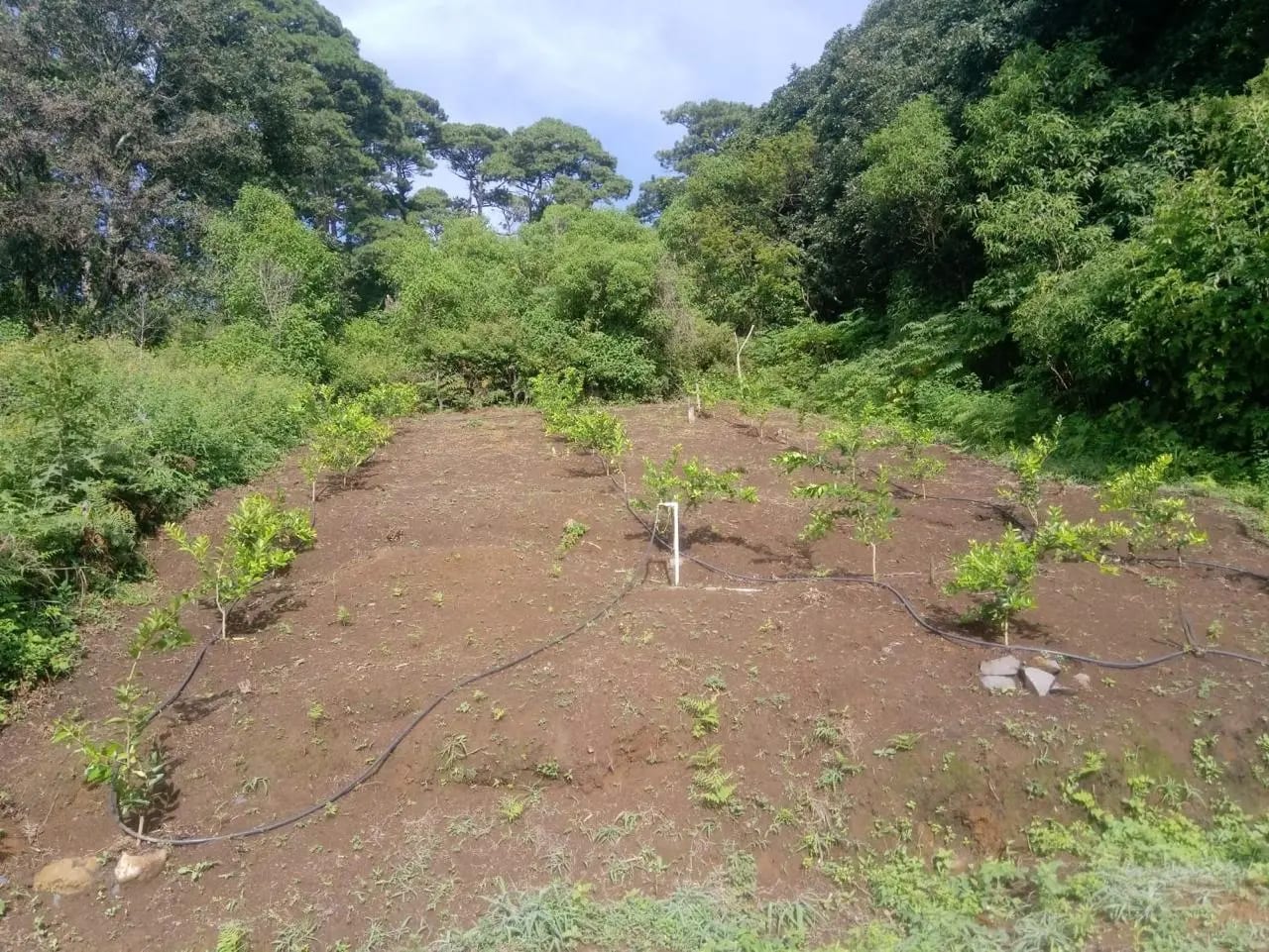 Terreno en Venta Milpas Altas — foto 4 de 7