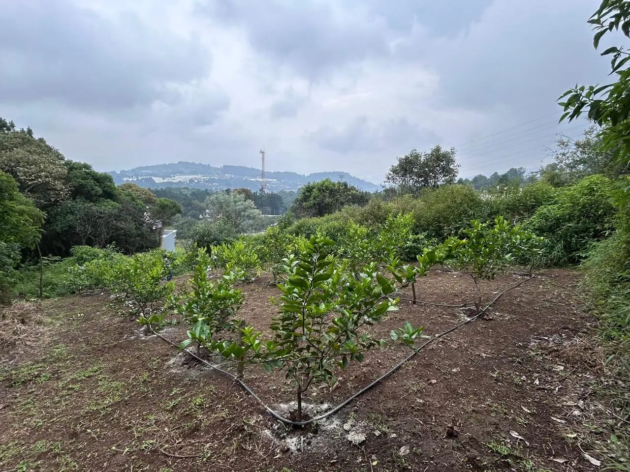 Terreno en Venta Milpas Altas — foto 7 de 7