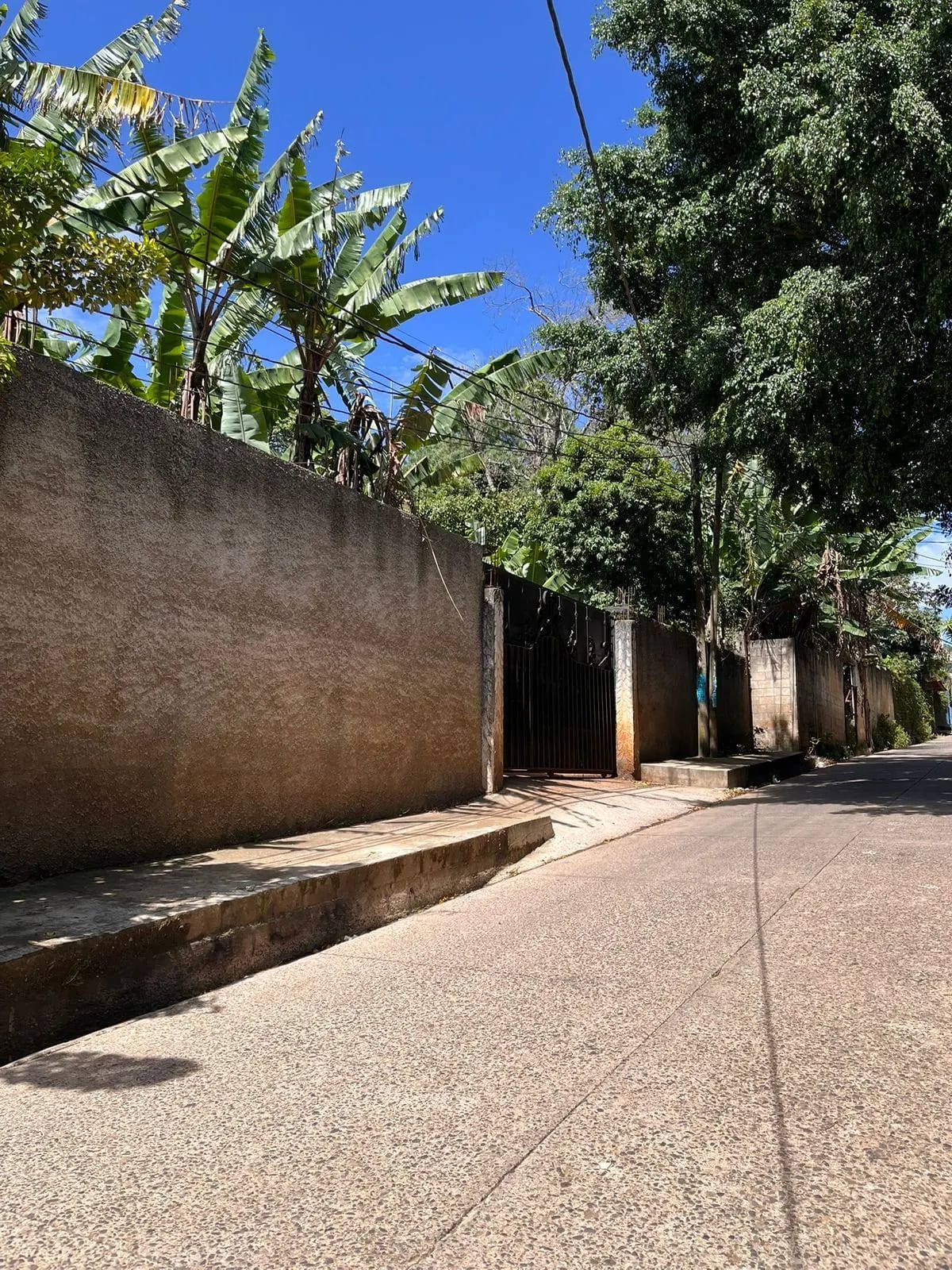 Renta de terreno comercial en colmenas Villa Canales — foto 9 de 11