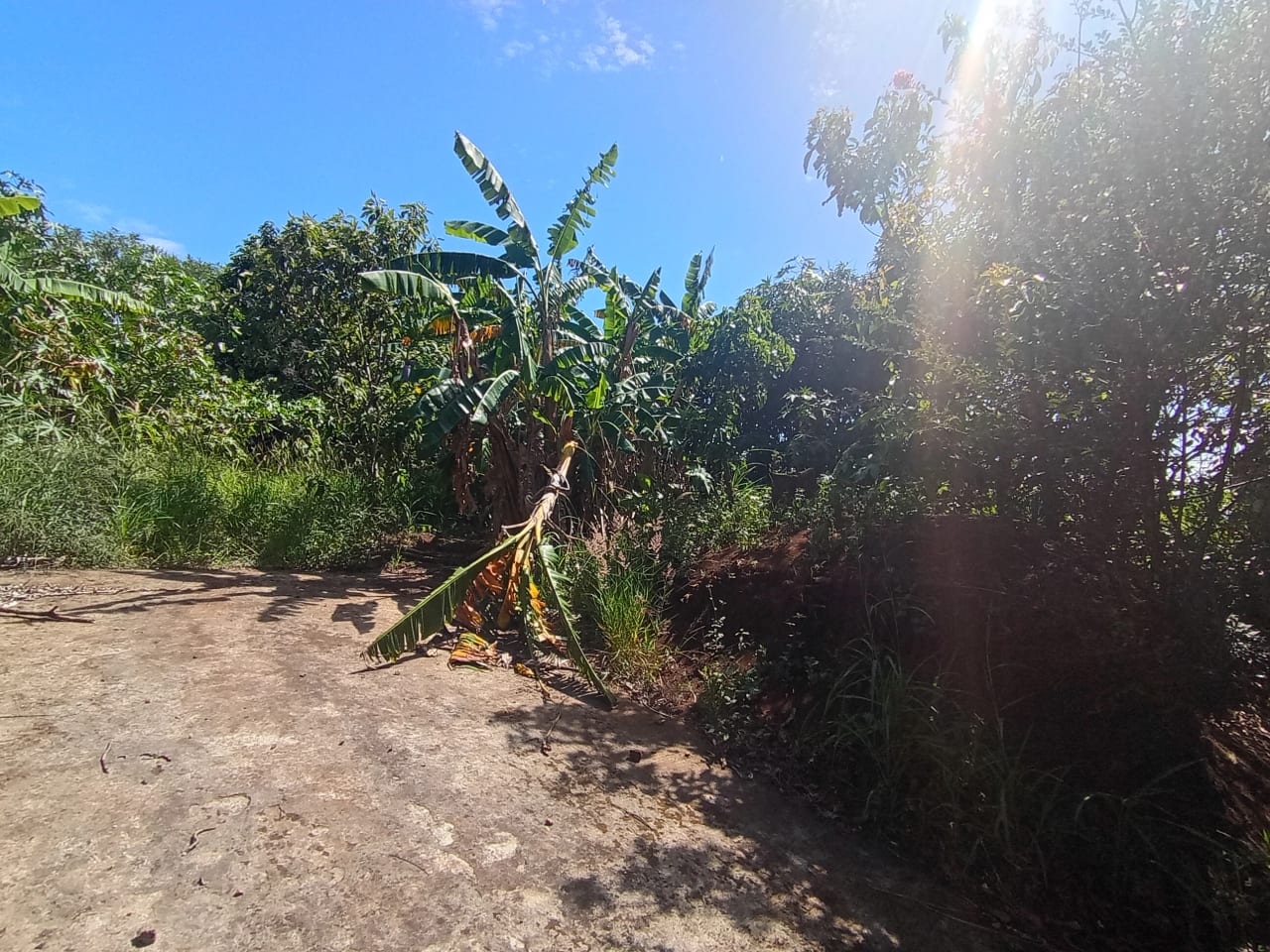 Renta de terreno comercial en colmenas Villa Canales — foto 8 de 11
