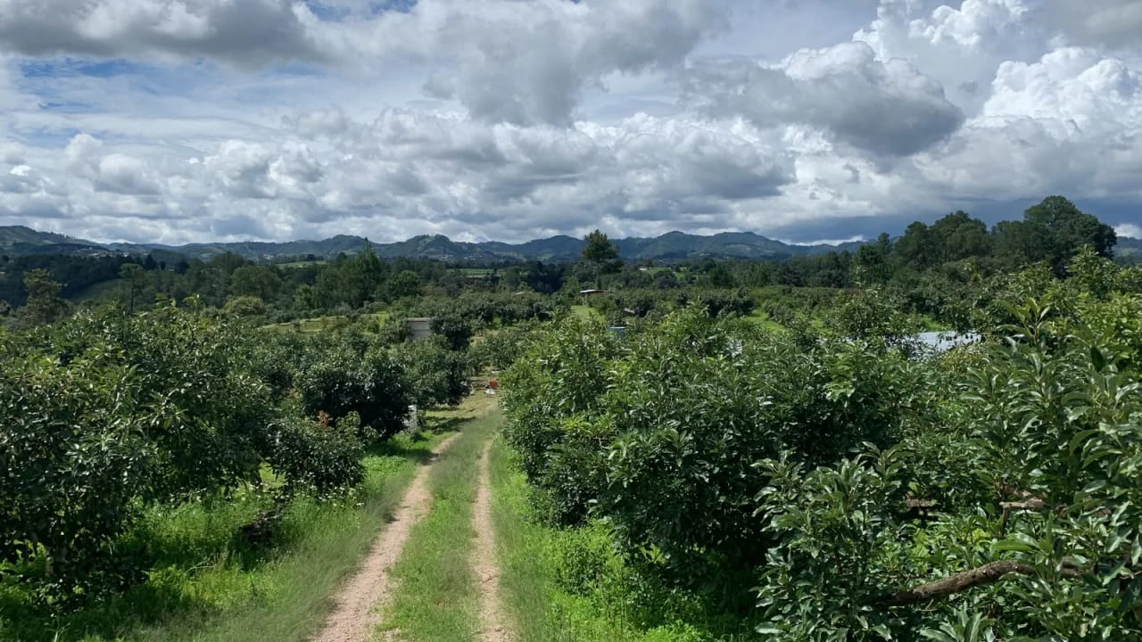 Finca En venta en Santa Cruz Balanyá, Chimaltenango. — foto 5 de 5
