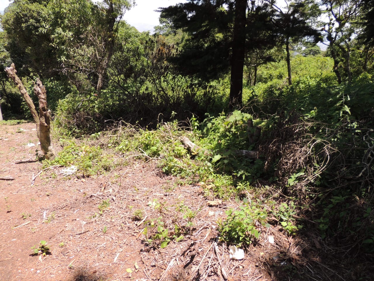 Terreno en Venta en Condominio Finca San Vicente — foto 5 de 7