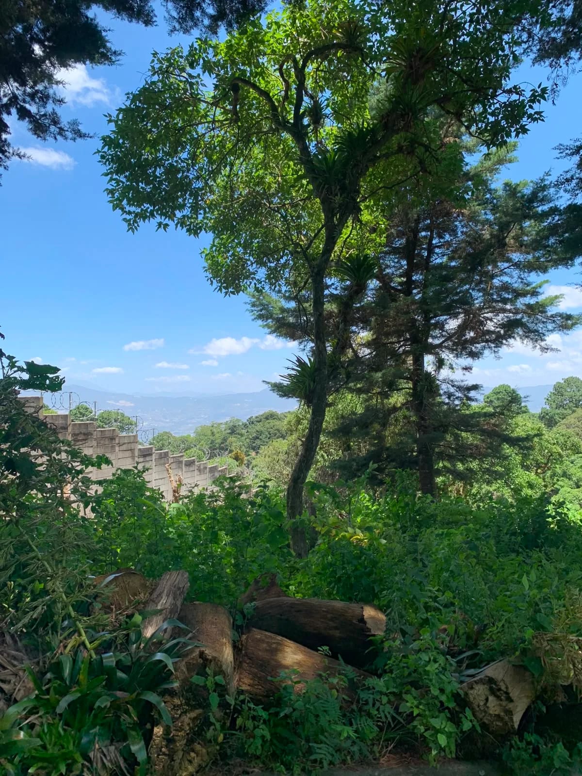 Terreno en Venta en Condominio Finca San Vicente — foto 7 de 7