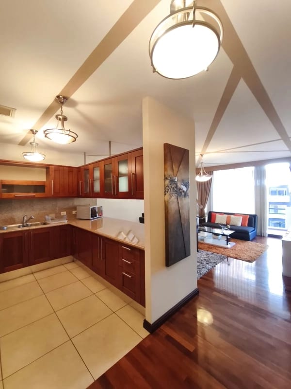 Apartamento Amueblado en Venta y Renta en Zona 14 — foto 4 de 17
