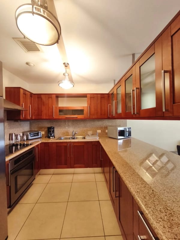 Apartamento Amueblado en Venta y Renta en Zona 14 — foto 3 de 17
