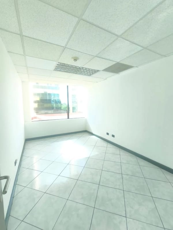 Oficina en Renta zona 14 — foto 4 de 11
